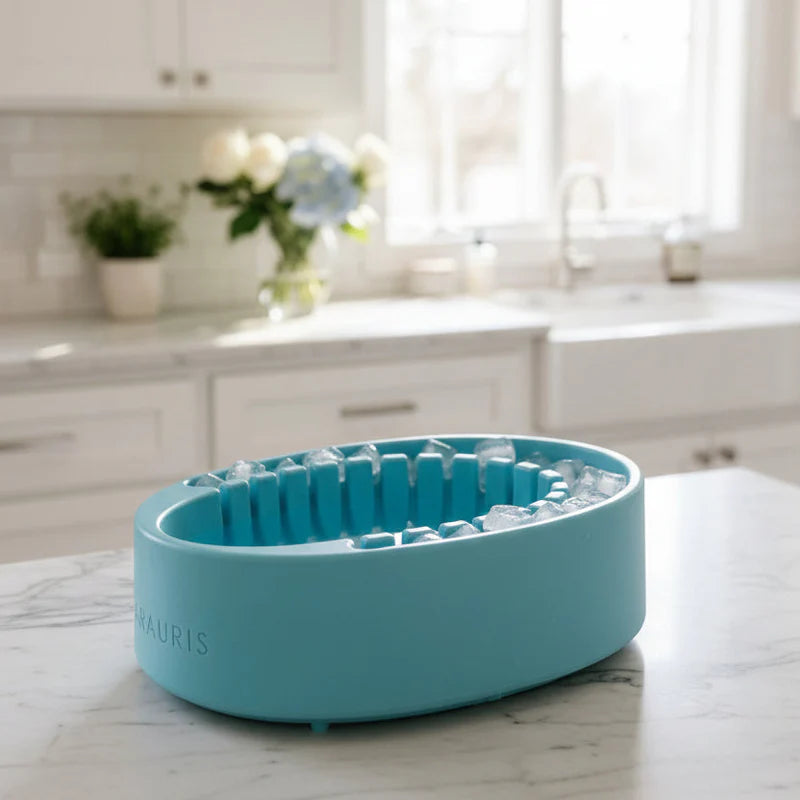 The Biohack Basin - Facial Cold Plunge Bowl with Ice Chamber