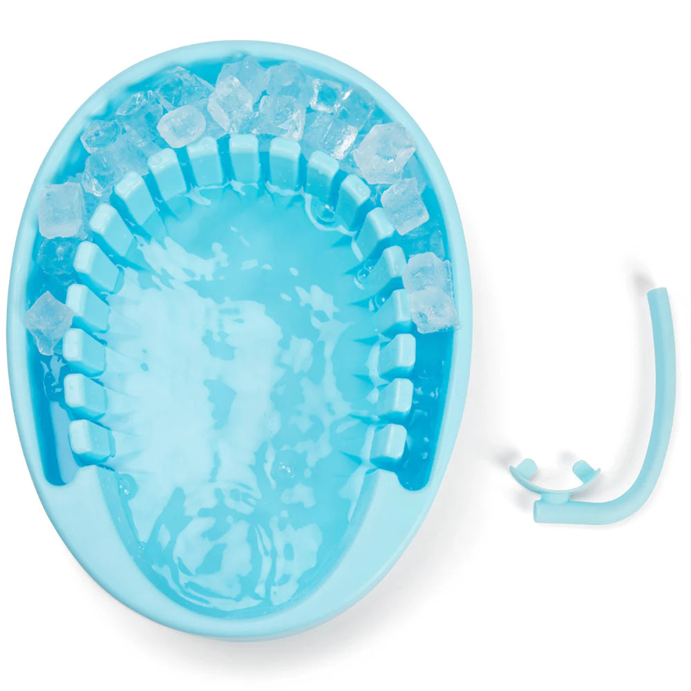 The Biohack Basin - Facial Cold Plunge Bowl with Ice Chamber