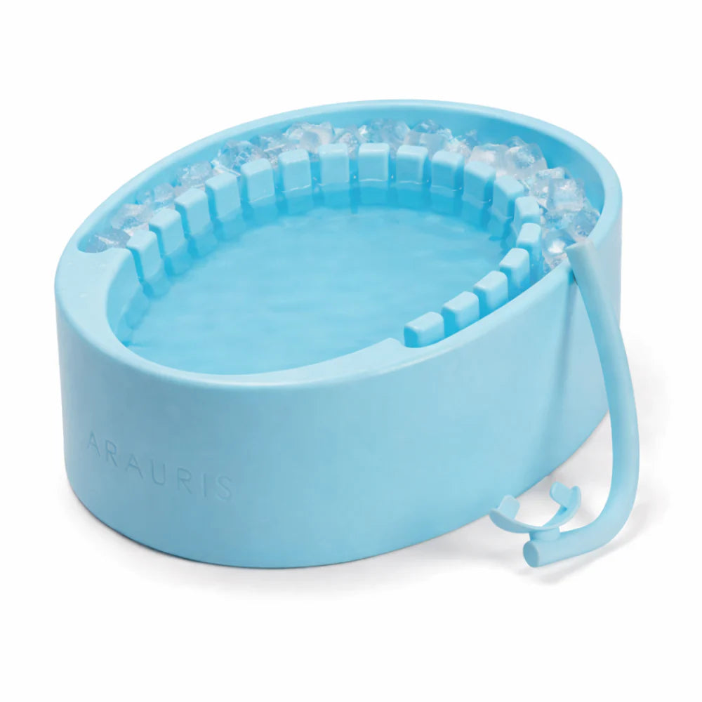 The Biohack Basin - Facial Cold Plunge Bowl with Ice Chamber